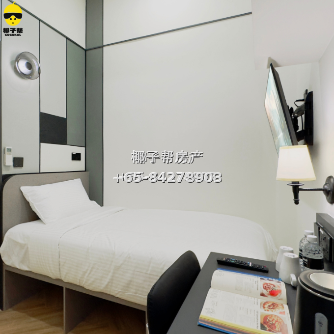 【出租】288RV River Valley精致单间 近乌节路 长短租均可