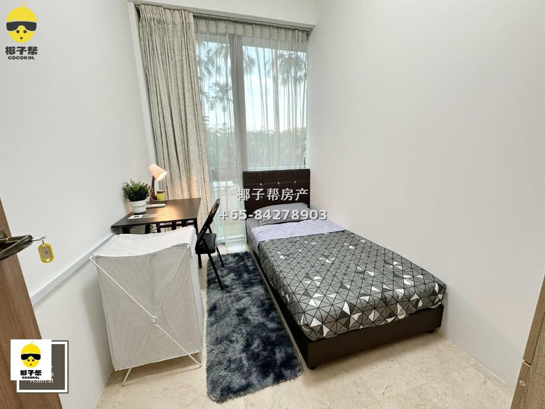 【出租】The Tessarina 单间合租 水电包$400