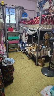 【出租】普通房,招女房客,上铺。有个人风扇 水电网全包