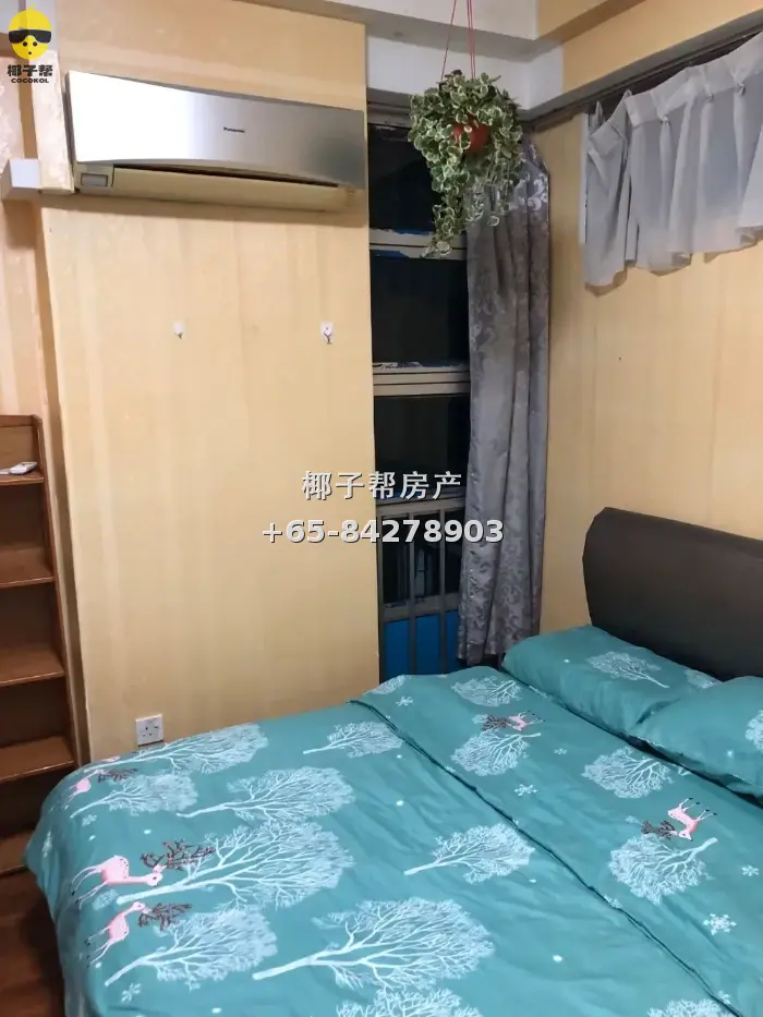 近Kaplan，SMU公寓大普通房$1300